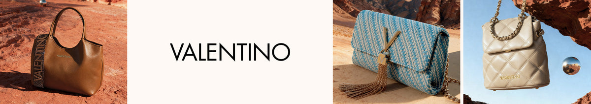 Valentino Handbags