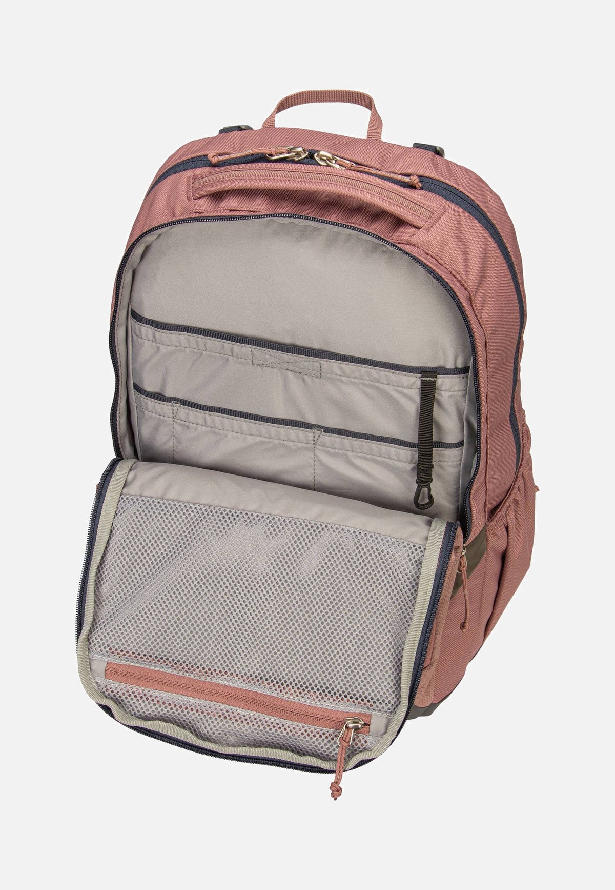 Deuter Cotogy Ashrose/Ink Backpack