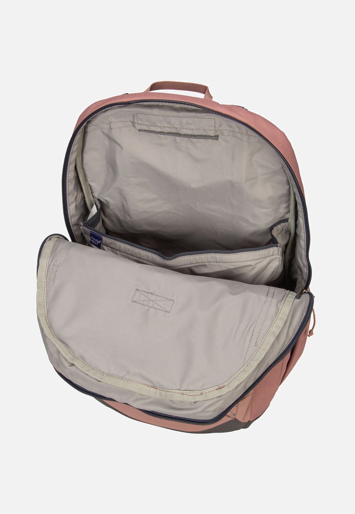 Deuter Cotogy Ashrose/Ink Backpack