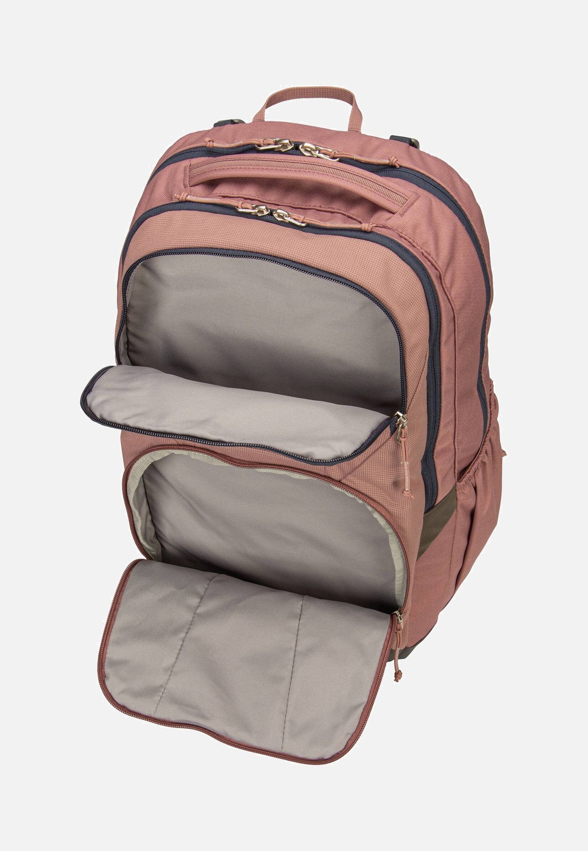 Deuter Cotogy Ashrose/Ink Backpack