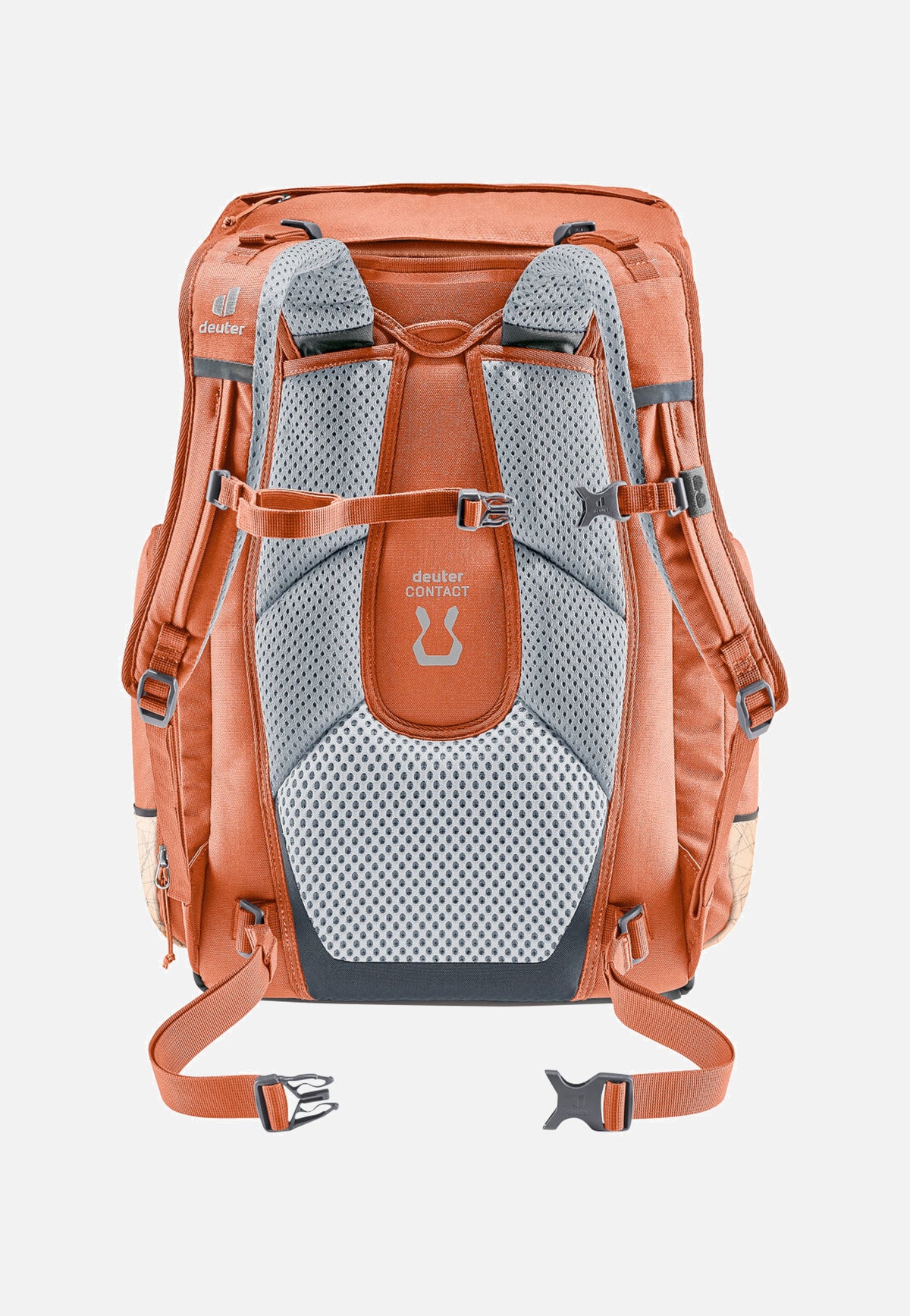 Deuter Scula Chestnut/Blush Backpack