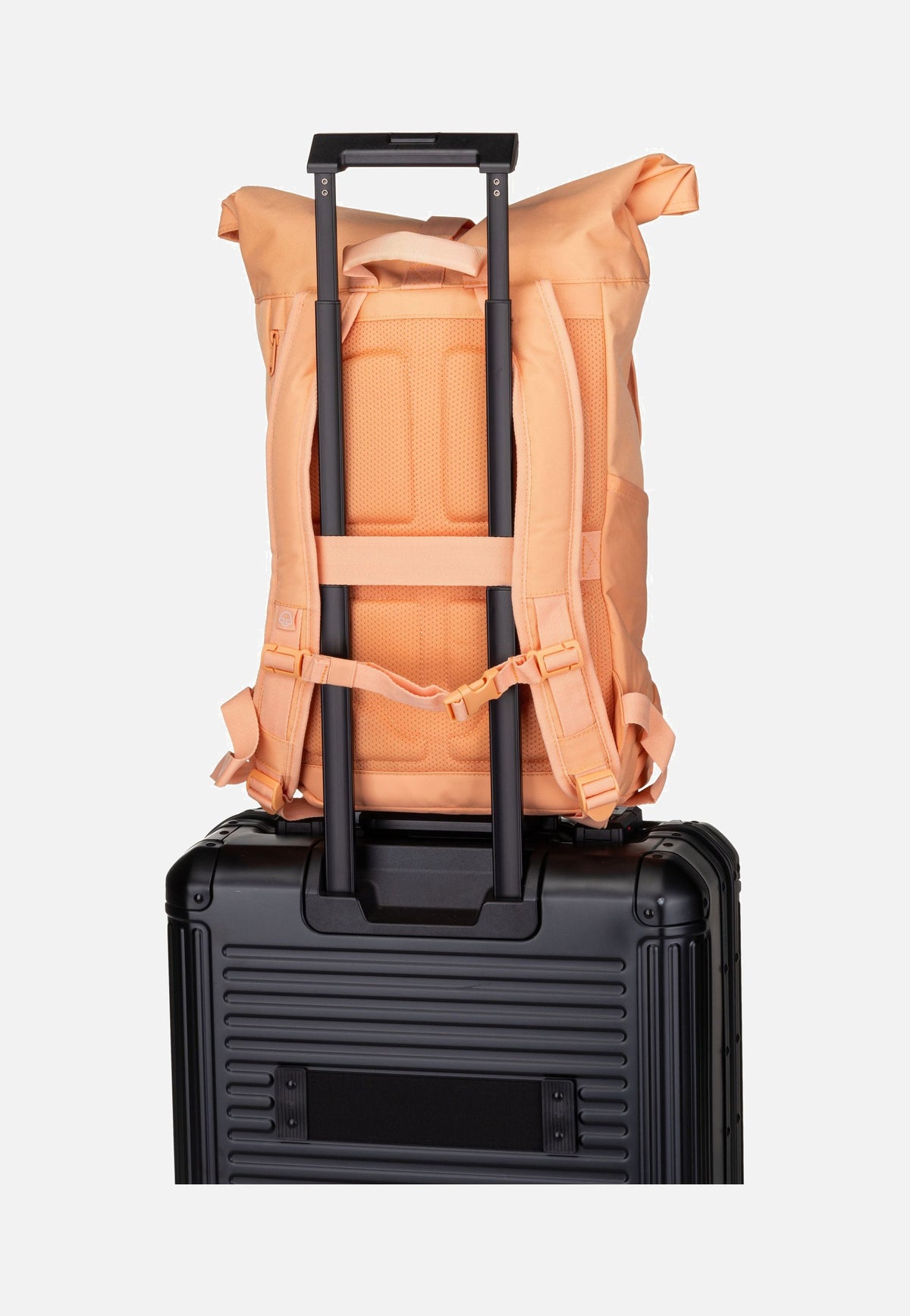 Johnny Urban Allen Medium Peach Rolltop Backpack
