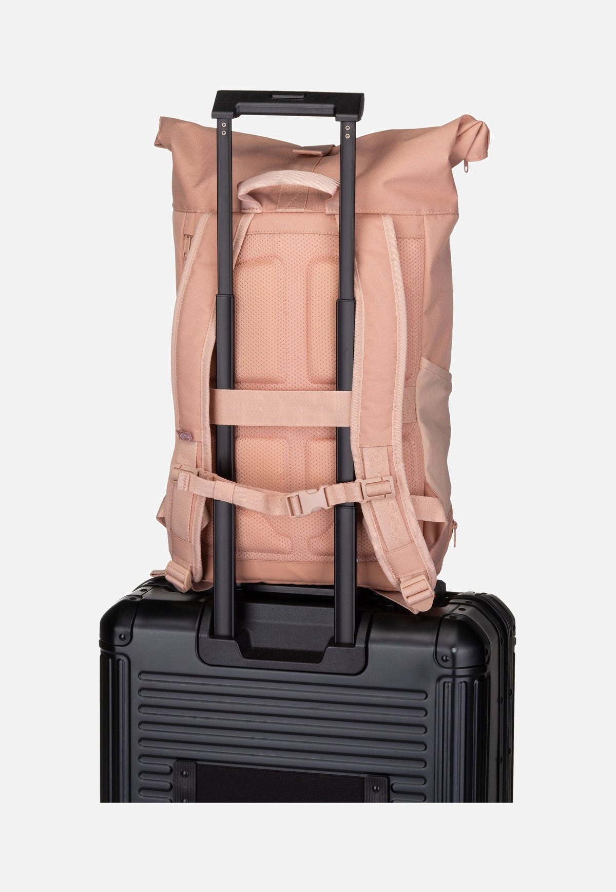 Johnny Urban Allen Medium Rosa Zaino arrotolabile