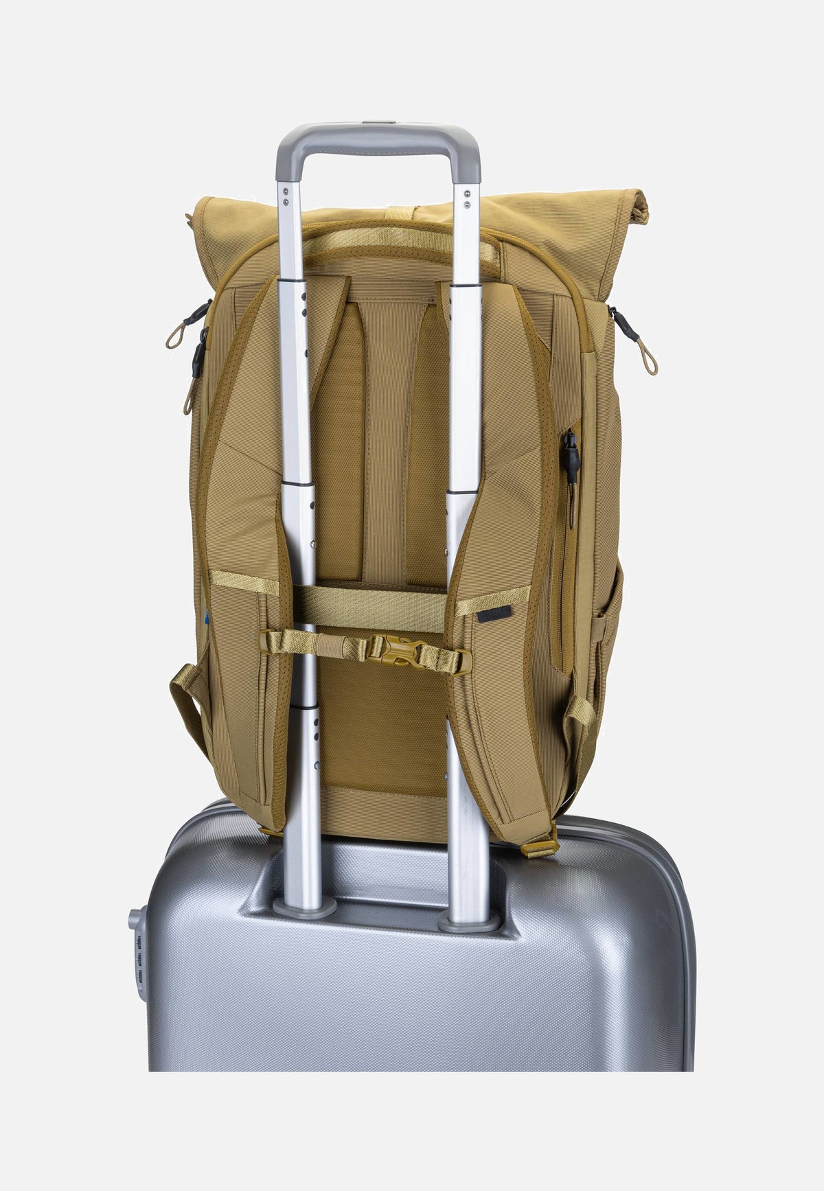 Thule Paramount 3 24L Nutria Rolltop Backpack
