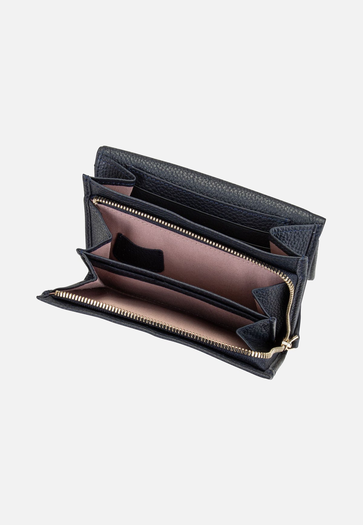 Picard Java 1 1191 Ozean Wallet