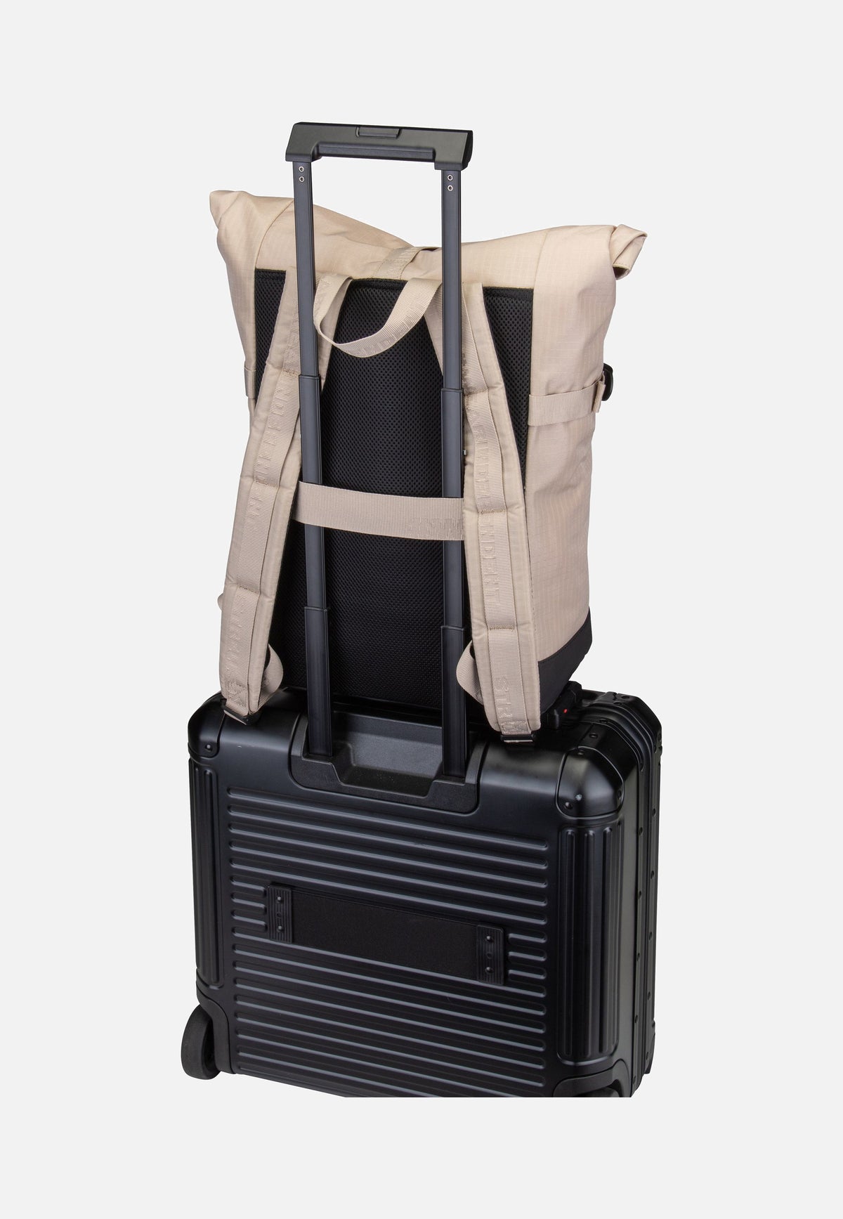 Strellson Northwood RS Eddie MVF Beige Rolltop Backpack